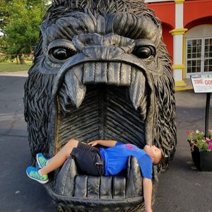 Meet your Posher, Tammy